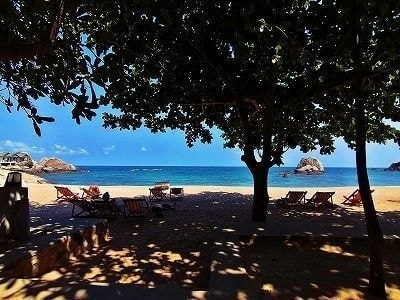 木陰から見るビーチが青くてキレイです