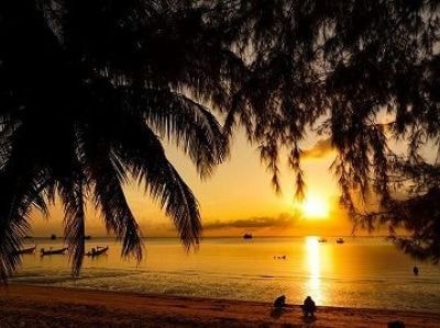 タオ島の美しい夕焼けと椰子の木